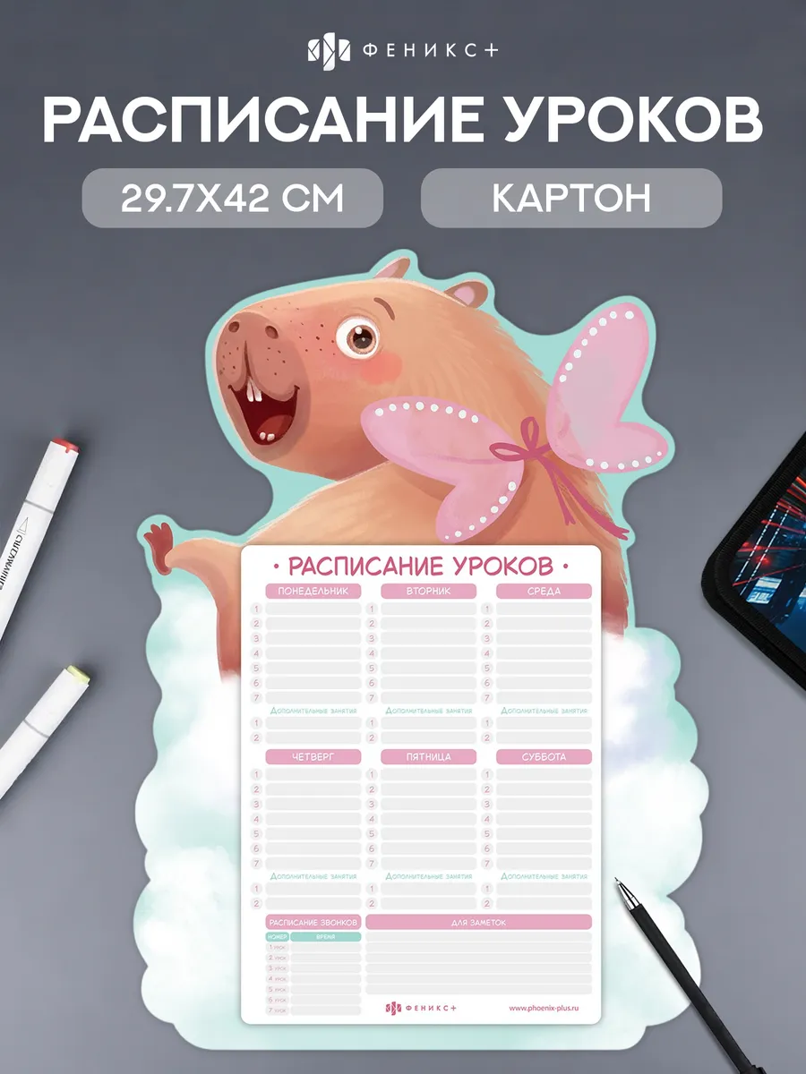 Расписание уроков А3 из картона