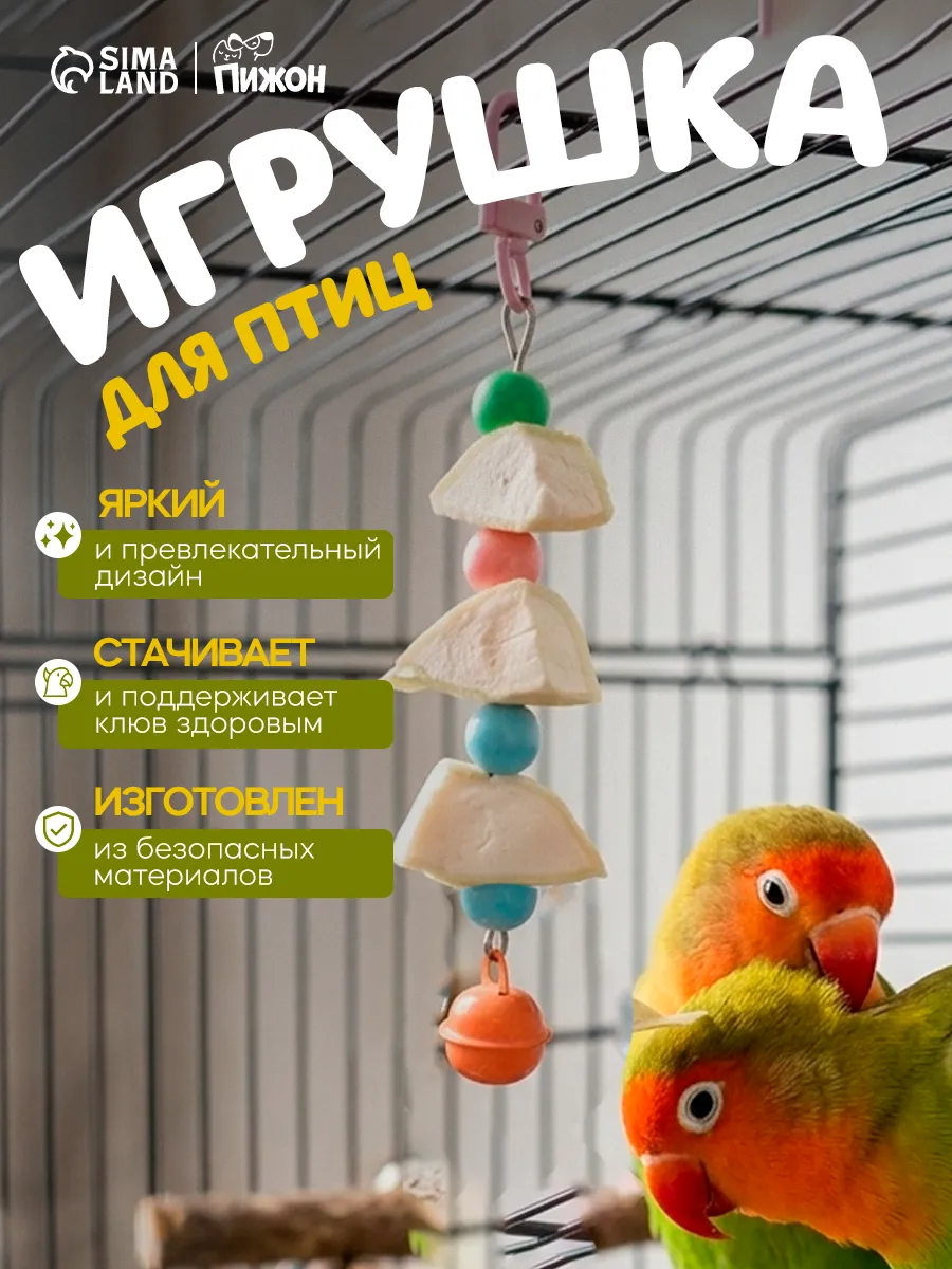 Игрушка для птиц с панцирем каракатицы и бусами, 9×3 см