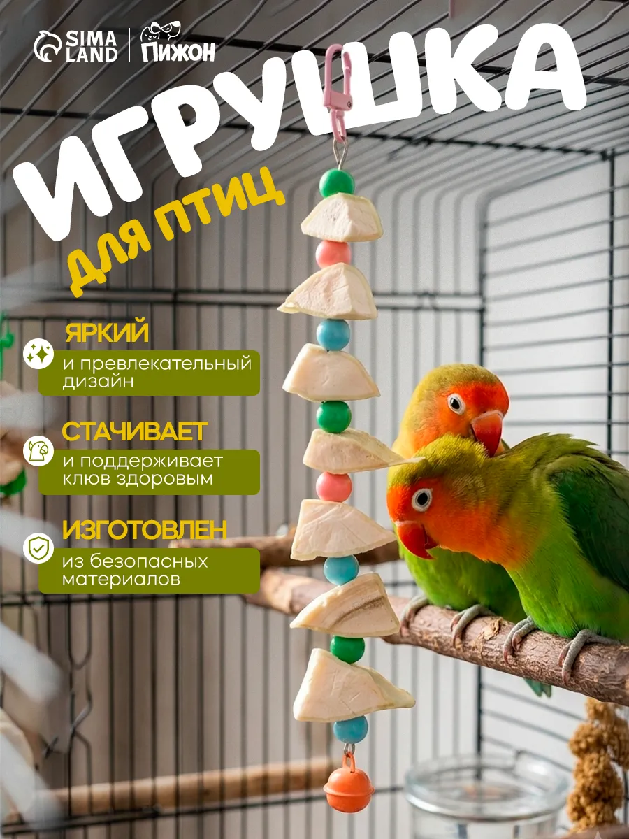 Игрушка для птиц с панцирем каракатицы и бусами, 15×3 см