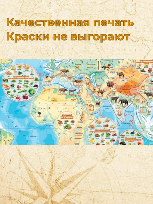 Белкартография Карта "Откуда родом растения и животные" 2 листа 136х96см РБ, вариант, фото 3