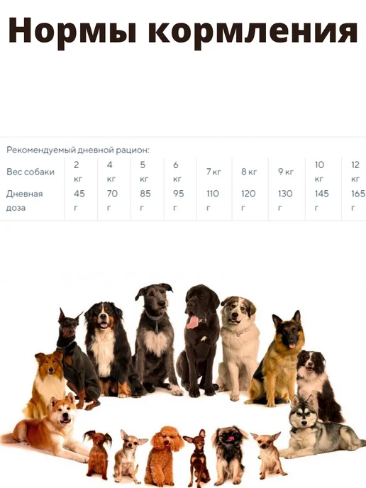 Сухой корм Primordial Примордиал Dog для собак, взрослые, мелкие, 2 кг, фото 2