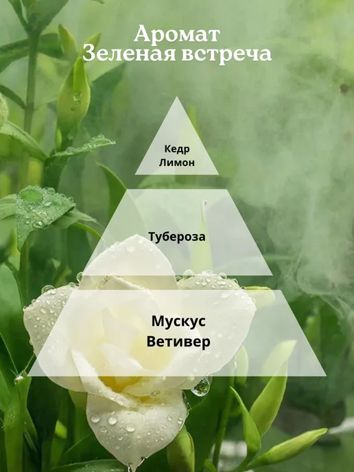 Mix & Go Набор сменных блоков для диффузора Утро в саду, голубой, фото 3