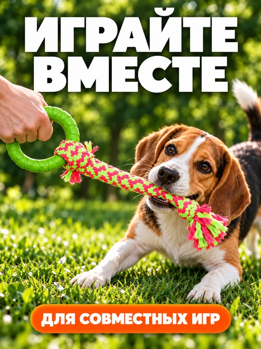 Игрушка-канат кольцо для всех пород собак, зеленый, фото 3