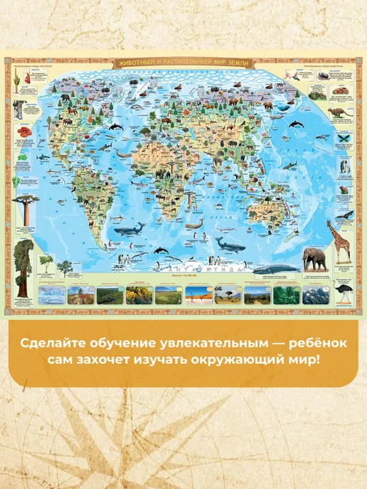 Белкартография Карта детская "Животный и растительный мир Земли" 137х100 см, 137x100 см, фото 2