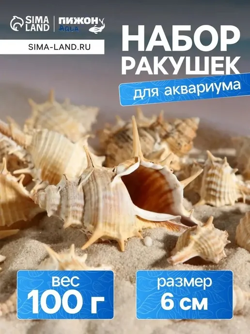 Набор натуральных ракушек для аквариума, бежевый, фото 6