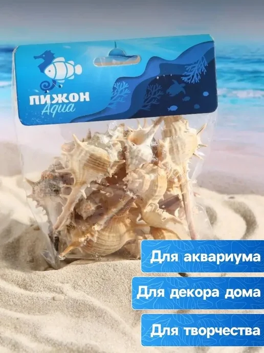 Набор натуральных ракушек для аквариума, бежевый, фото 8