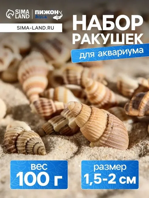 Декоративные ракушки для аквариума - 100 г, 100 г