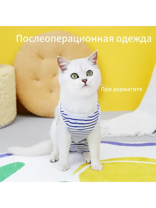 Попона послеоперационная для кошек M, синий, синий
