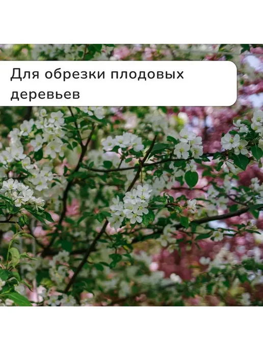 Секатор c пластиковыми ручками, плоскостной, 8" (20 см), серый, фото 3