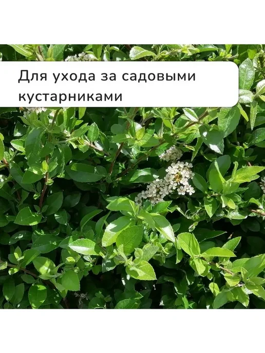 Секатор c пластиковыми ручками, плоскостной, 8" (20 см), серый, фото 4