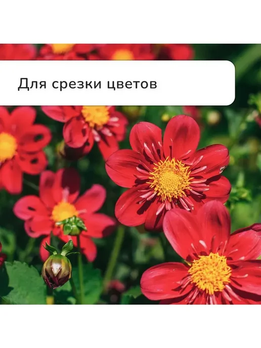 Секатор c пластиковыми ручками, плоскостной, 8" (20 см), серый, фото 5