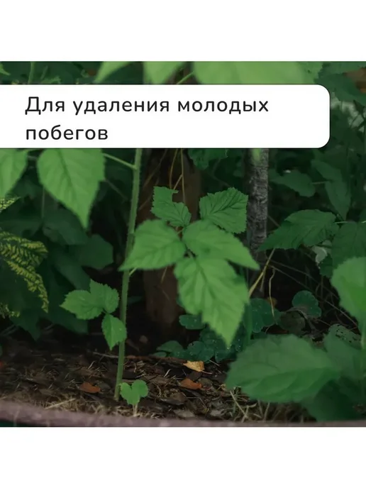 Секатор c пластиковыми ручками, плоскостной, 8" (20 см), серый, фото 6