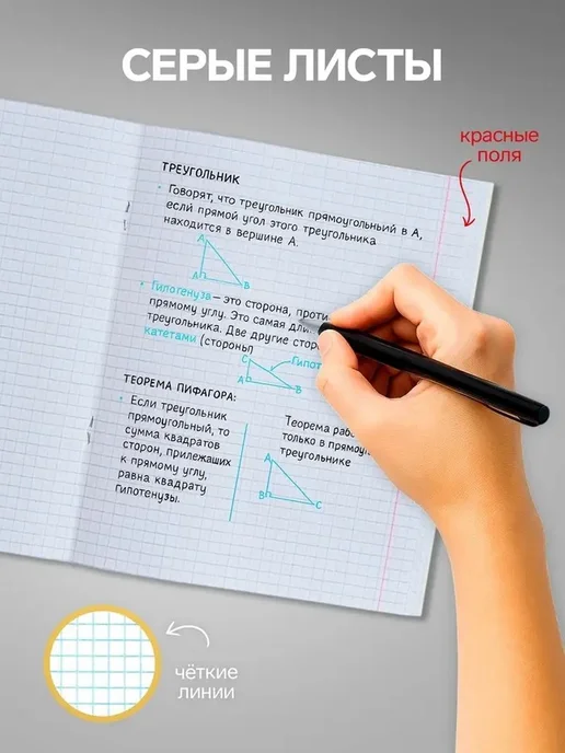 Универсальный комплект тетрадей для учебы и работы, вариант, фото 3