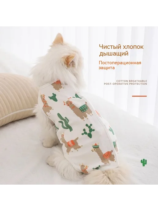 Одежда Чистый хлопок XL, вариант, фото 2