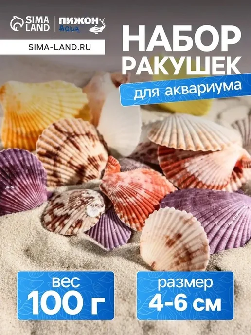 Коллекция декоративных ракушек для аквариума, вариант
