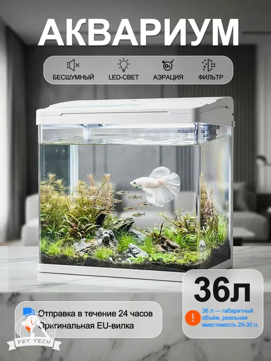 Небольшой аквариум для дома