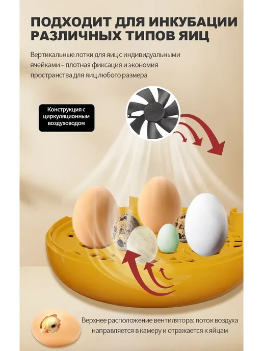 Автоматический инкубатор для яиц, желтый, фото 6