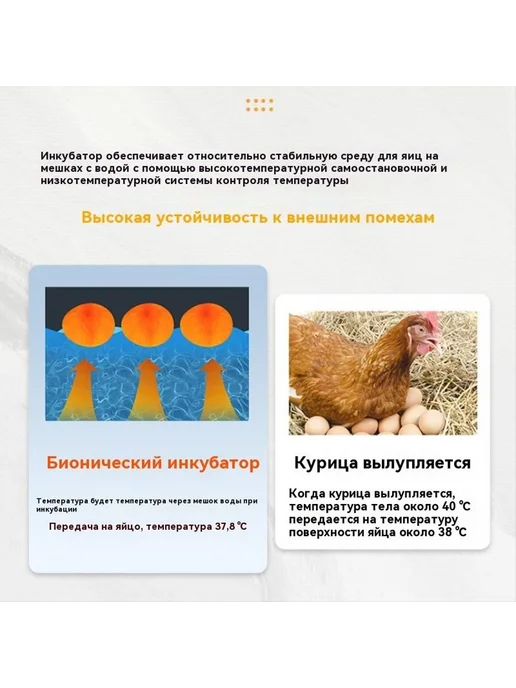 Автоматический инкубатор на 10 яиц с термостатом, вариант, фото 4