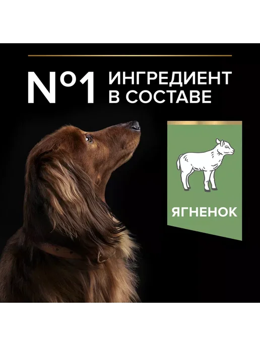 Сухой корм PRO PLAN. Пищеварением для собак, чувствительное пищеварение, ягненок, 0,7 кг, фото 3