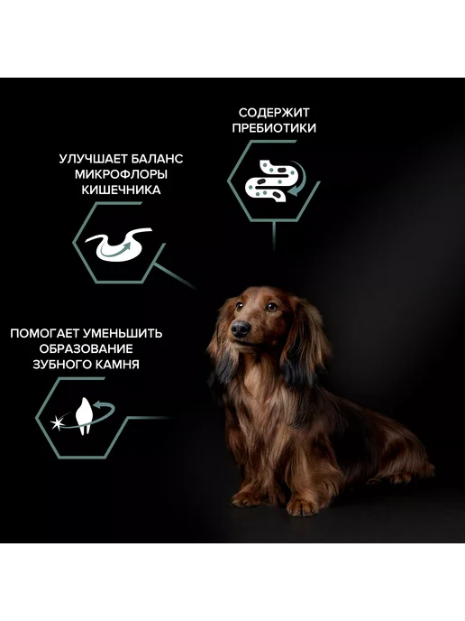 Сухой корм PRO PLAN. Пищеварением для собак, чувствительное пищеварение, ягненок, 0,7 кг, фото 4