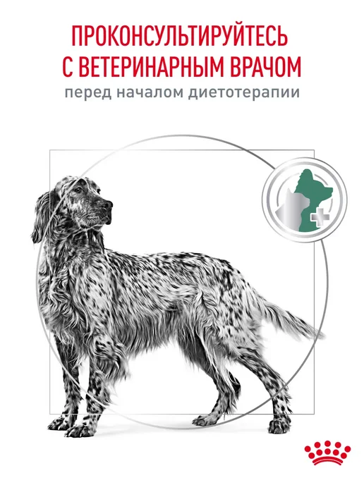 Сухой корм Royal canin Диабетический Diabetic для собак, 12 кг, фото 8