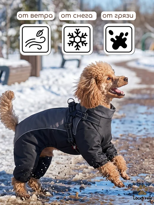 LuckyPaw Комбинезон для собак зимний с анатомической шлейкой, черный, фото 2