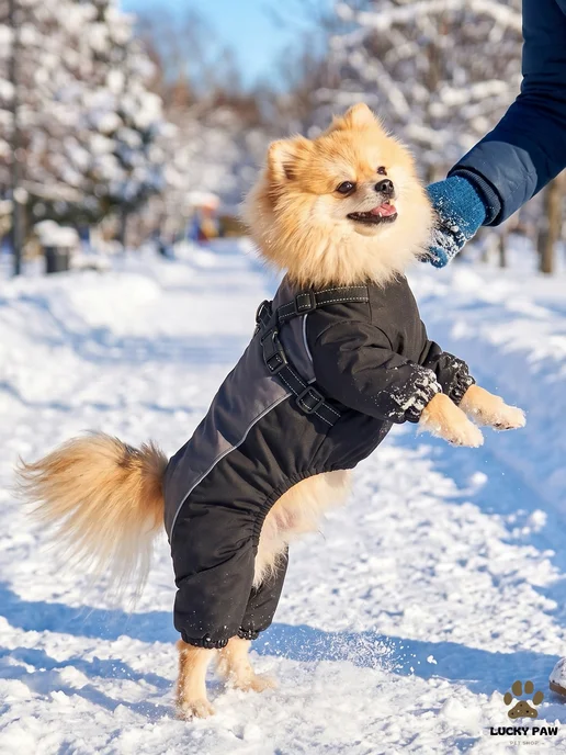 LuckyPaw Комбинезон для собак зимний с анатомической шлейкой, черный, фото 6