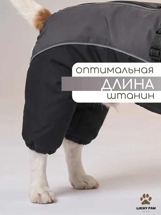 LuckyPaw Комбинезон для собак зимний с анатомической шлейкой, черный, фото 8