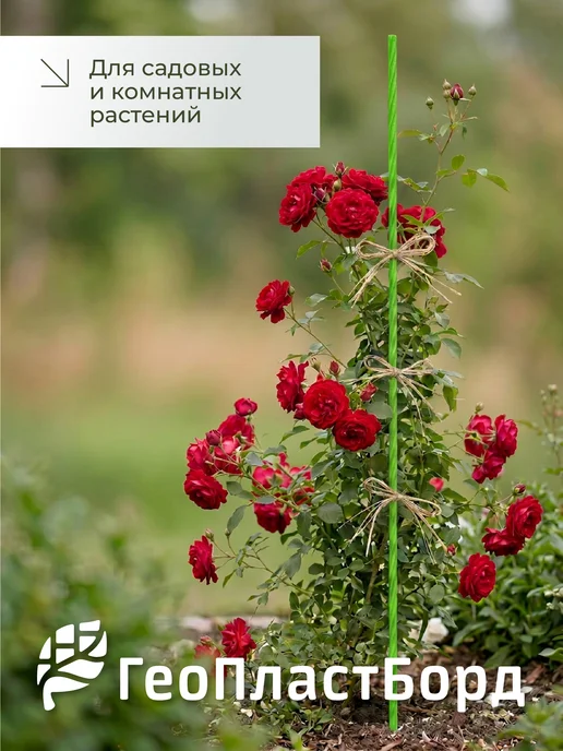 Колышки садовые композитные для подвязки растений, зеленый, фото 5