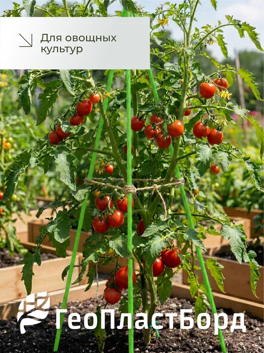 Колышки садовые композитные для подвязки растений, зеленый, фото 7