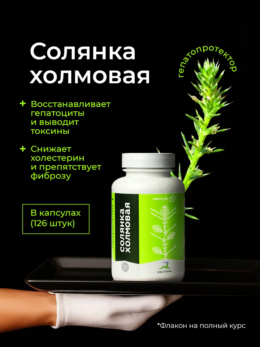Солянка холмовая алтайская для поддержки и очищения печени