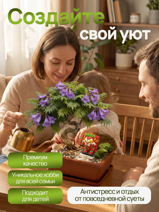 Про Растения Набор для выращивания растений Бонсай Жакаранда фиалковое, вариант, фото 6