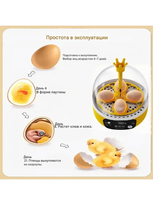 Инкубатор для 4 яиц, желтый, фото 5