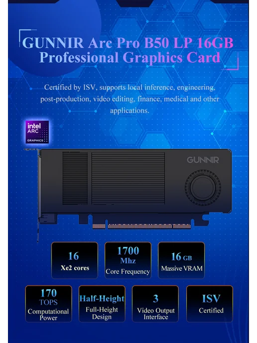 GUNNIR Видеокарта Intel Arc Pro B50 16GB Low Profile, 16 ГБ, фото 2