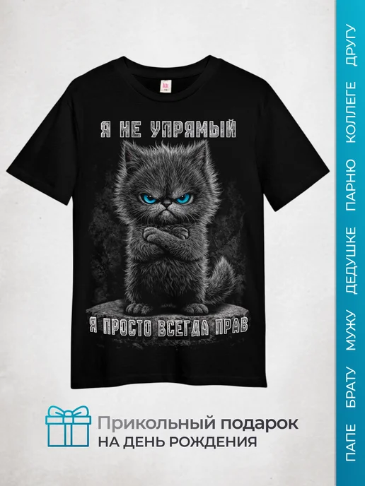 МИР МАЕК Прикол футболка с принтом и надписью для мужчин, черный, фото 4