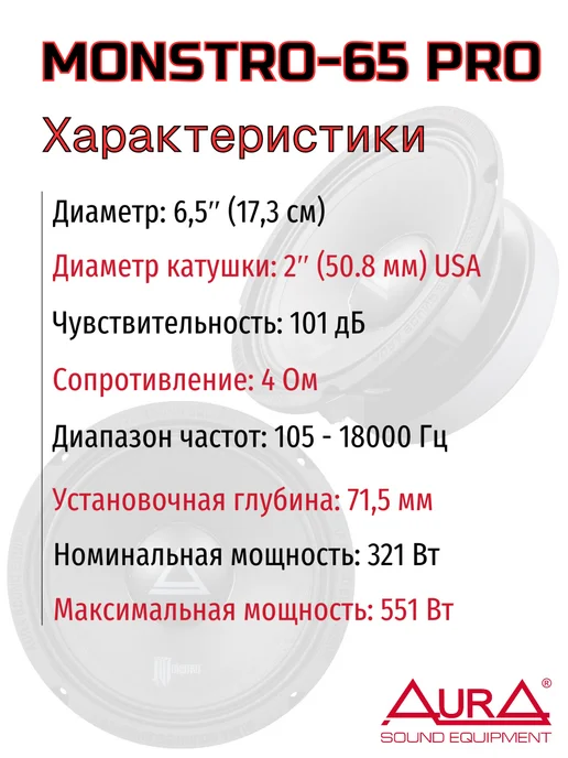 AurA Sound Equipment Эстрадная акустика СЧ AurA MONSTRO-65 PRO, 2 шт, фото 2