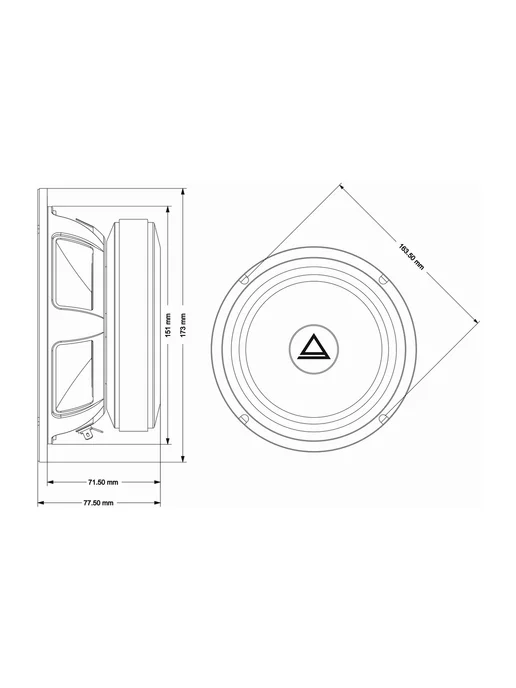AurA Sound Equipment Эстрадная акустика СЧ AurA MONSTRO-65 PRO, 2 шт, фото 3