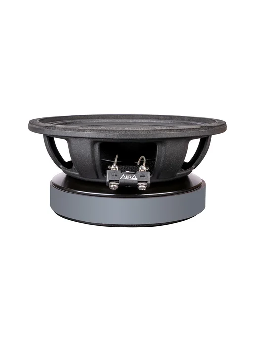 AurA Sound Equipment Эстрадная акустика СЧ AurA MONSTRO-65 PRO, 2 шт, фото 7