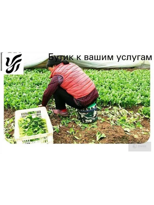 Садовый складной стул 24x32 см, 1 шт, 24x32 см, 1 шт, фото 2