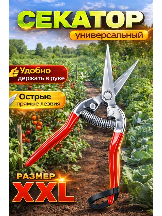 Ножницы садовые инструмент для сада огорода, красный, фото 2