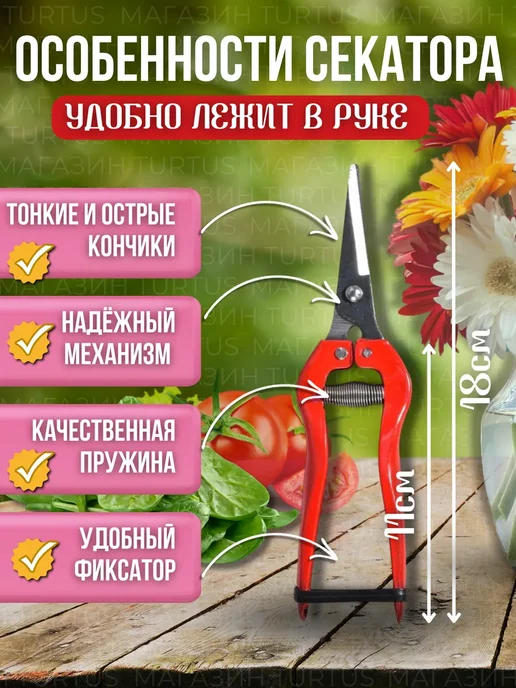 Ножницы садовые инструмент для сада огорода, красный, фото 5