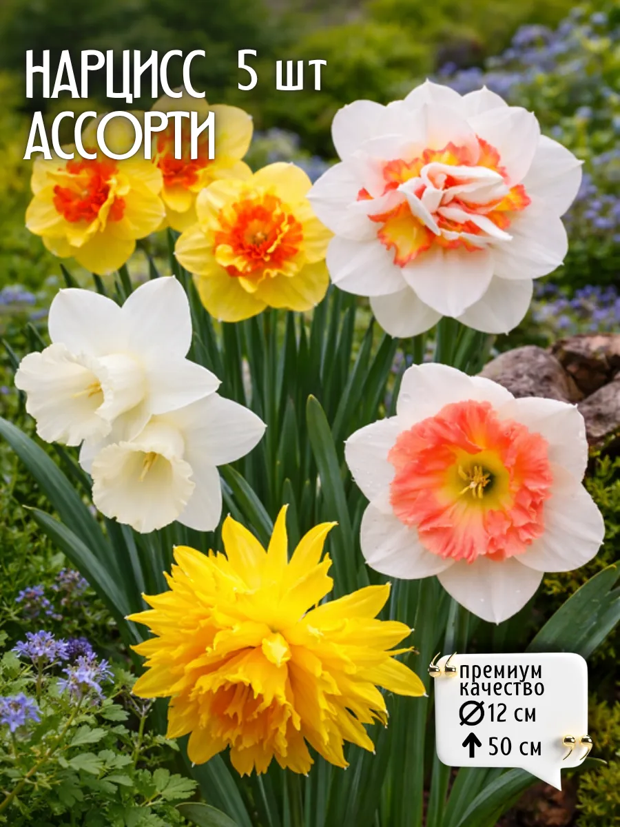 Нарциссы луковицы для посадки Микс 5 шт