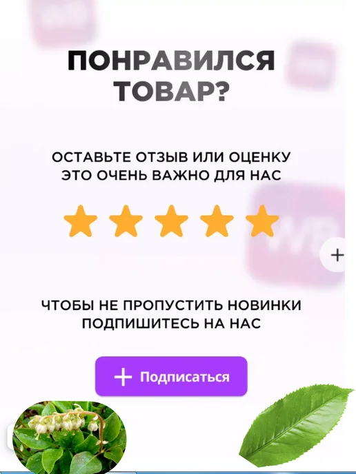 Мужской травяной сбор 100 гр, 100 г, фото 6