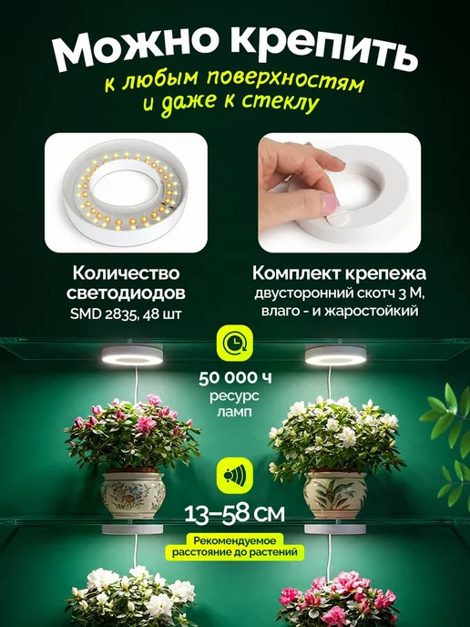 Плюмс Фитолампа для растений полного спектра 20 В, 4Lite, вариант, фото 3