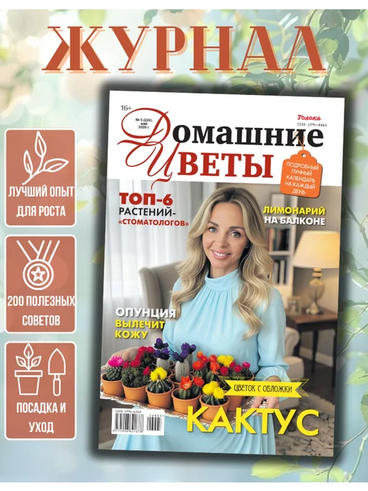 Домашние цветы Домашние цветы№5 26. Кактус, вариант
