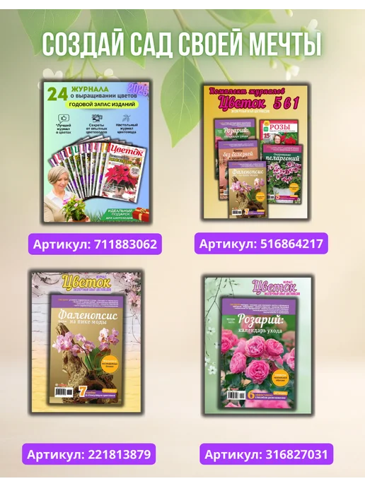Домашние цветы Домашние цветы№5 26. Кактус, вариант, фото 7