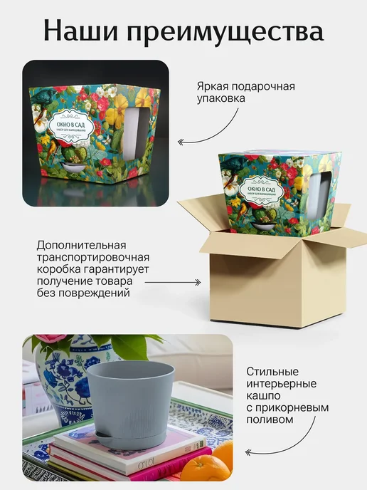 Окно в сад Пассифлора банановая Набор для выращивания, вариант, фото 5