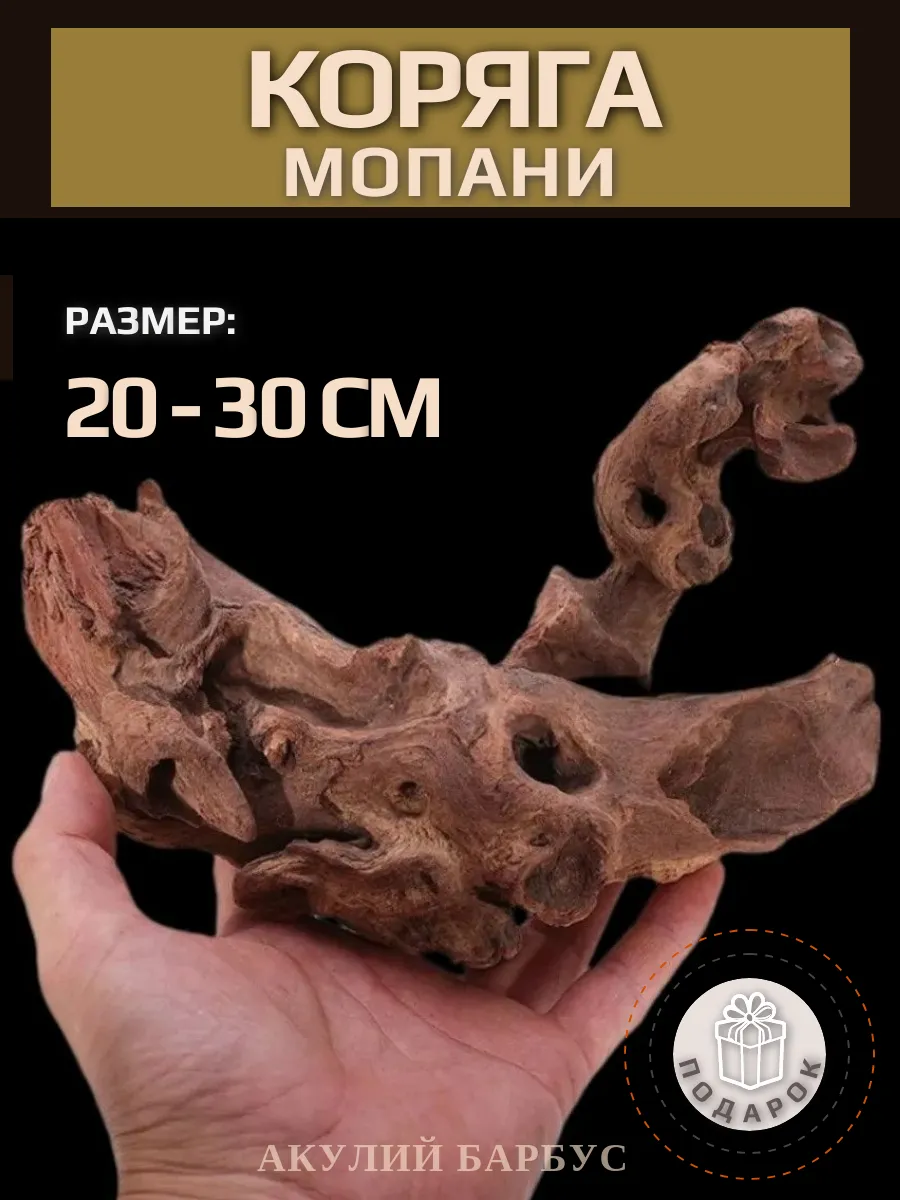 Натуральная коряга мопани для аквариума террариума 20-30 см