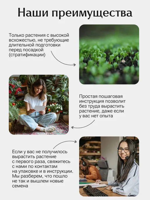 Окно в сад Эвкалипт пепельный Серебряный доллар Набор для выращивания, серебристый, фото 3