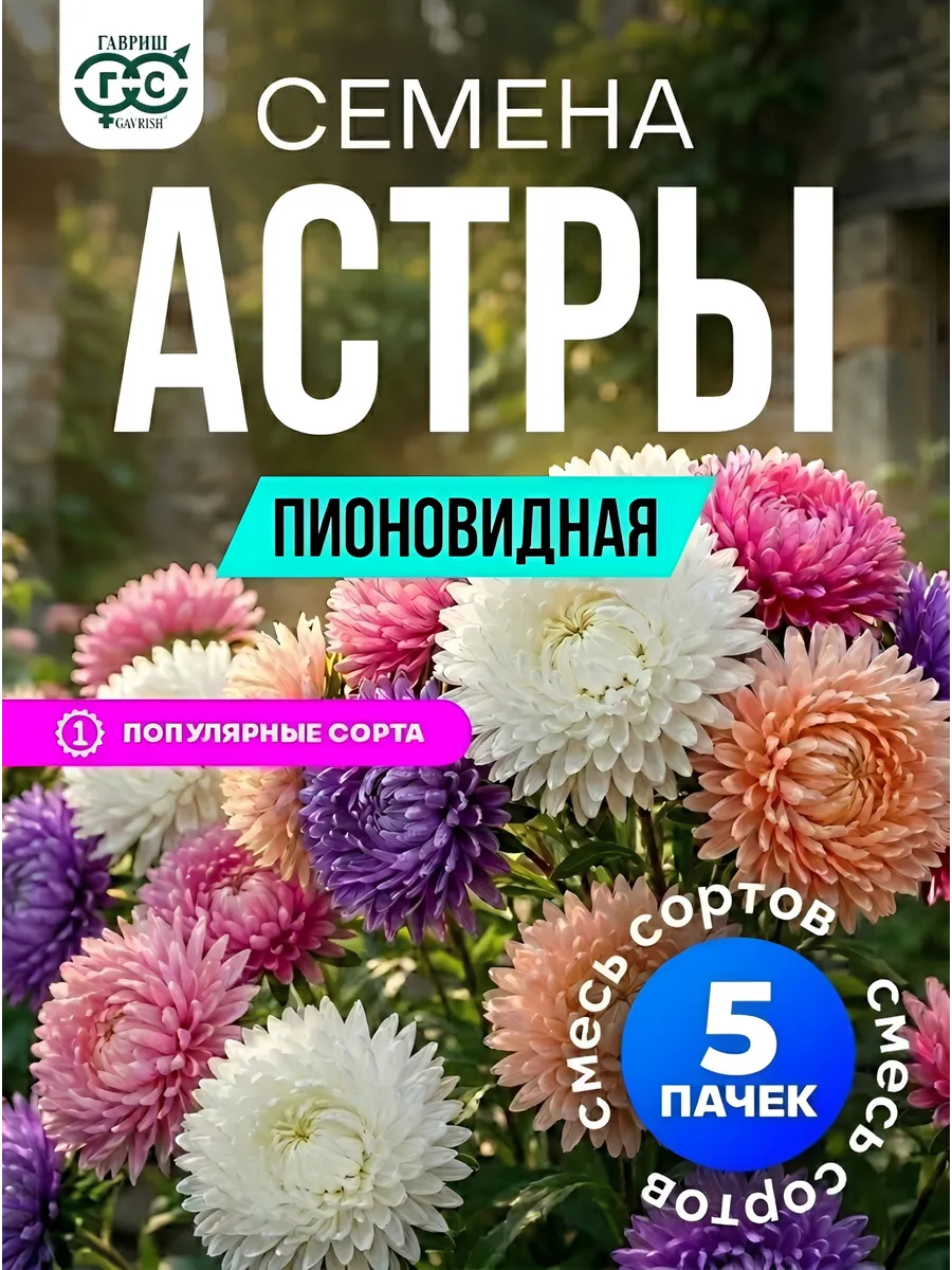 Астра семена пионовидная крупные цветы